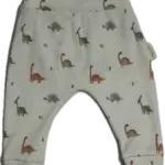 babybroekje dinosaurus