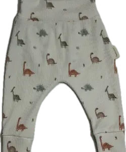 babybroekje dinosaurus