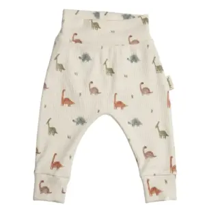 babybroekje dinosaurus