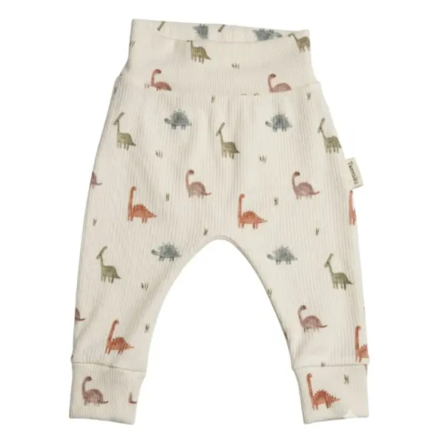 babybroekje dinosaurus