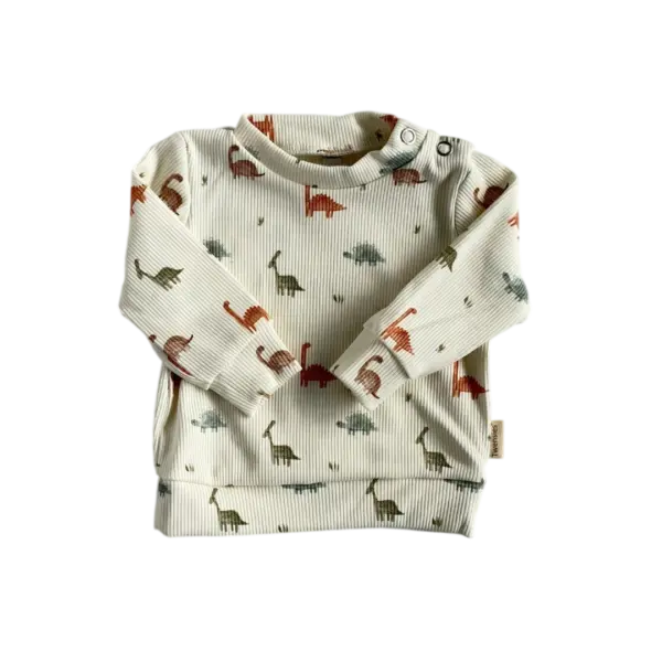 Babyshirt met lange mouw met dinosaurus print van Twensies
